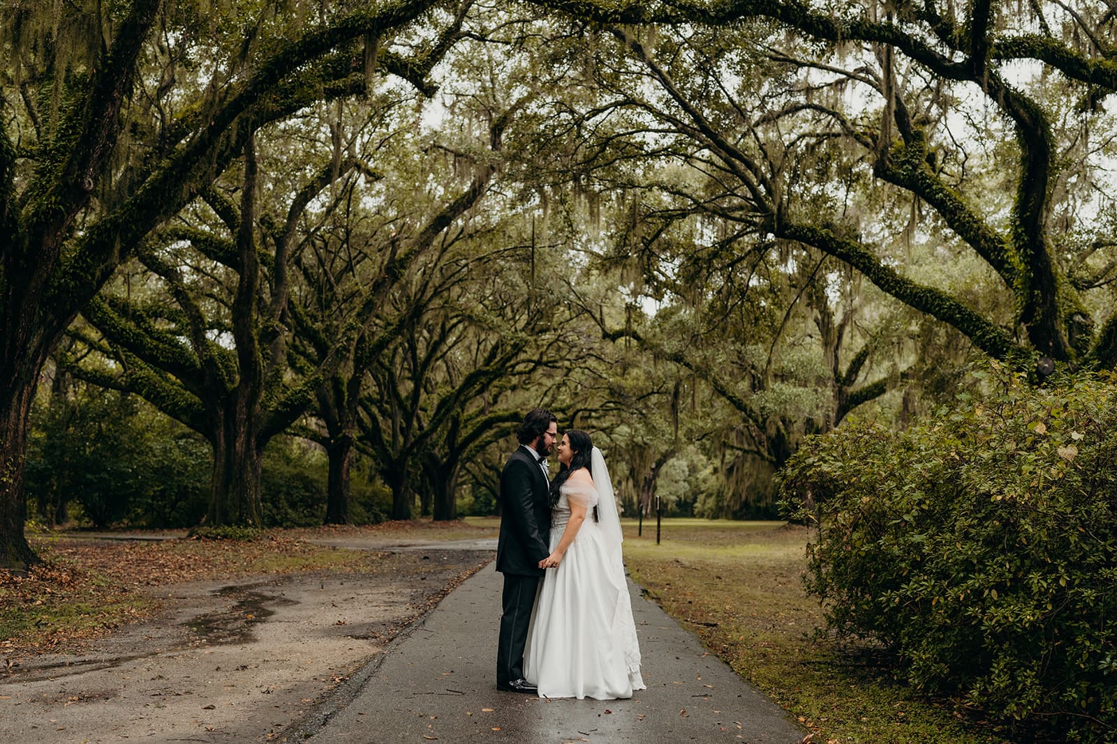 couple doing first look under charleston trees